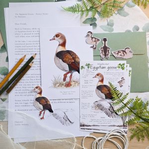 Nature Notes - Art Mail Print Club 🌿