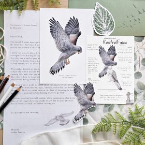 The Kestrel - January Month Mail | One-off Package